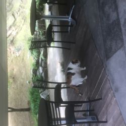 모아아트 리뷰